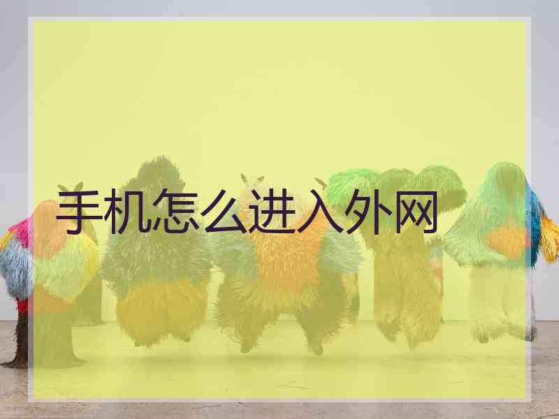 手机怎么进入外网