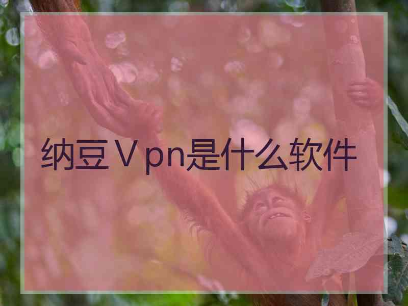 纳豆Ⅴpn是什么软件