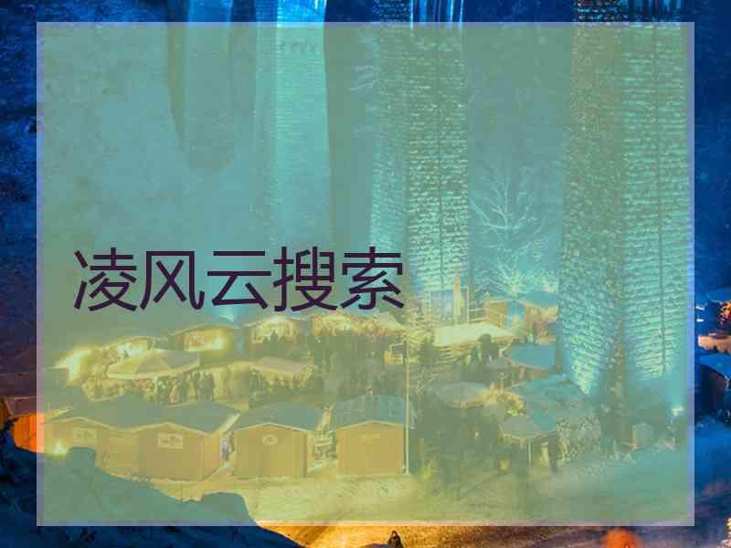 凌风云搜索