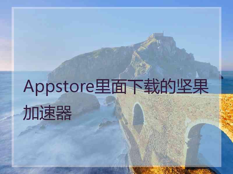 Appstore里面下载的坚果加速器