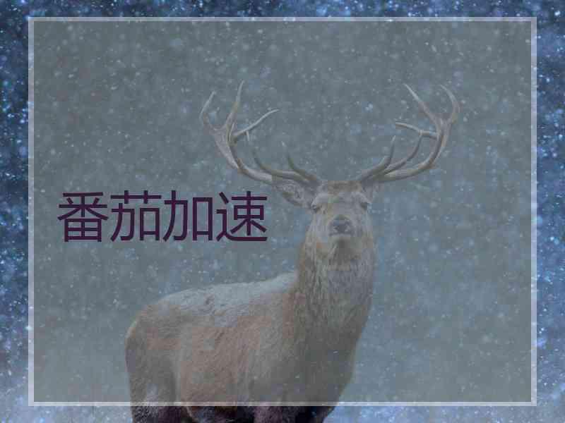 番茄加速