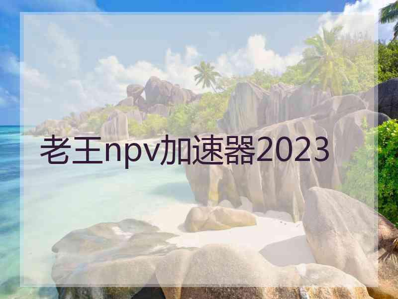 老王npv加速器2023