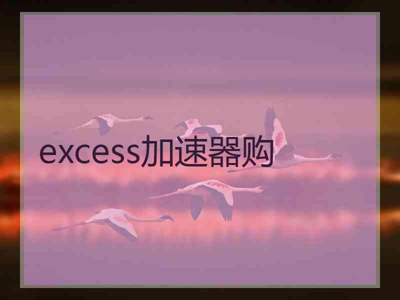 excess加速器购