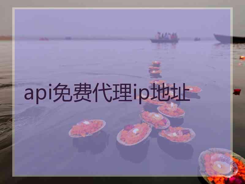 api免费代理ip地址