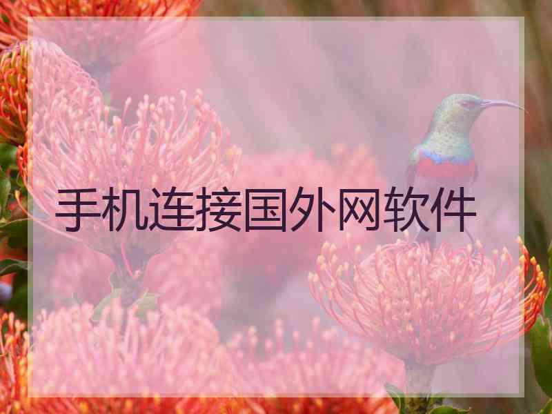 手机连接国外网软件