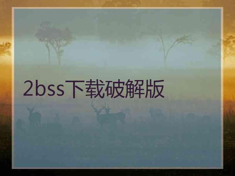 2bss下载破解版