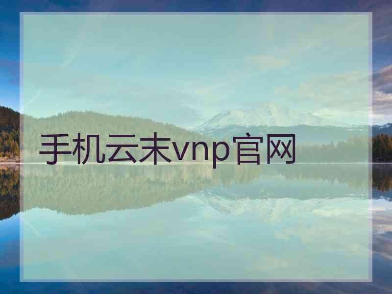 手机云末vnp官网