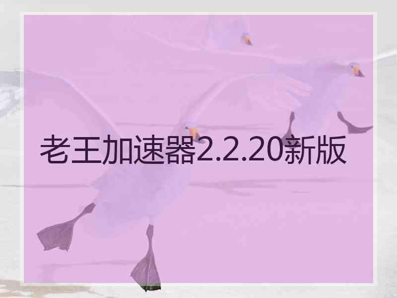 老王加速器2.2.20新版