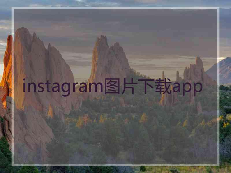 instagram图片下载app