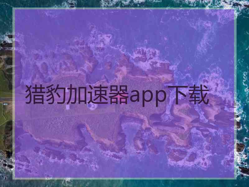 猎豹加速器app下载