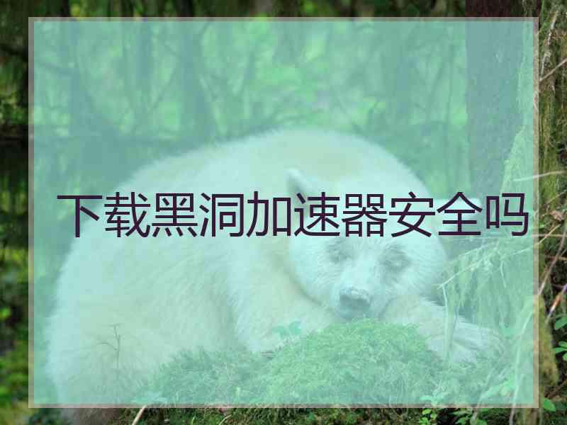 下载黑洞加速器安全吗