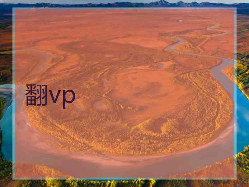 翻vp