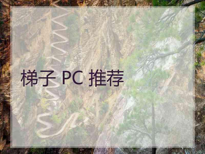 梯子 PC 推荐