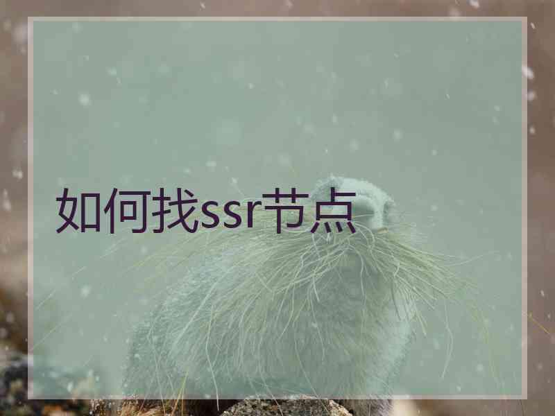 如何找ssr节点