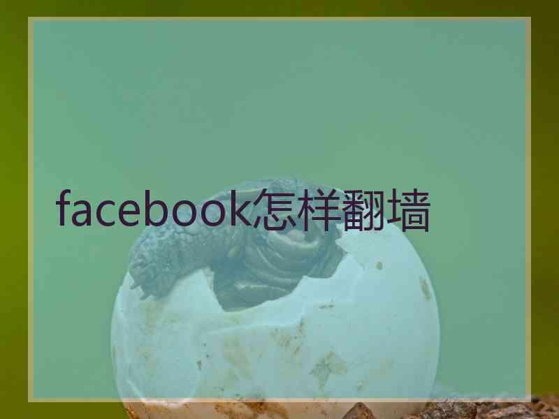 facebook怎样翻墙