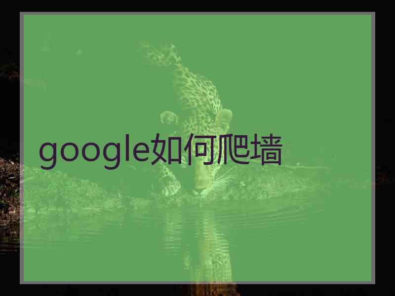 google如何爬墙