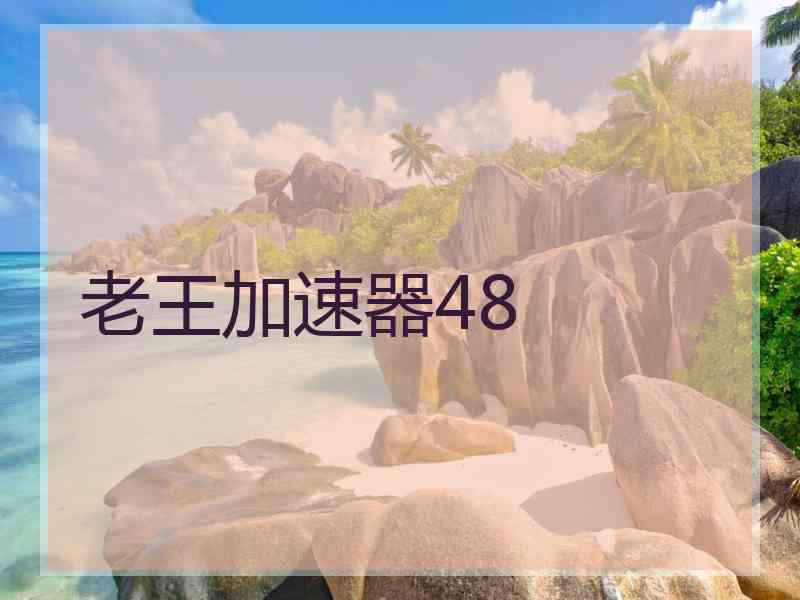 老王加速器48