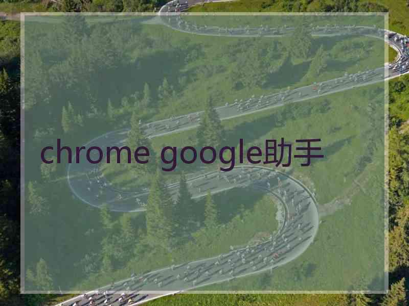 chrome google助手