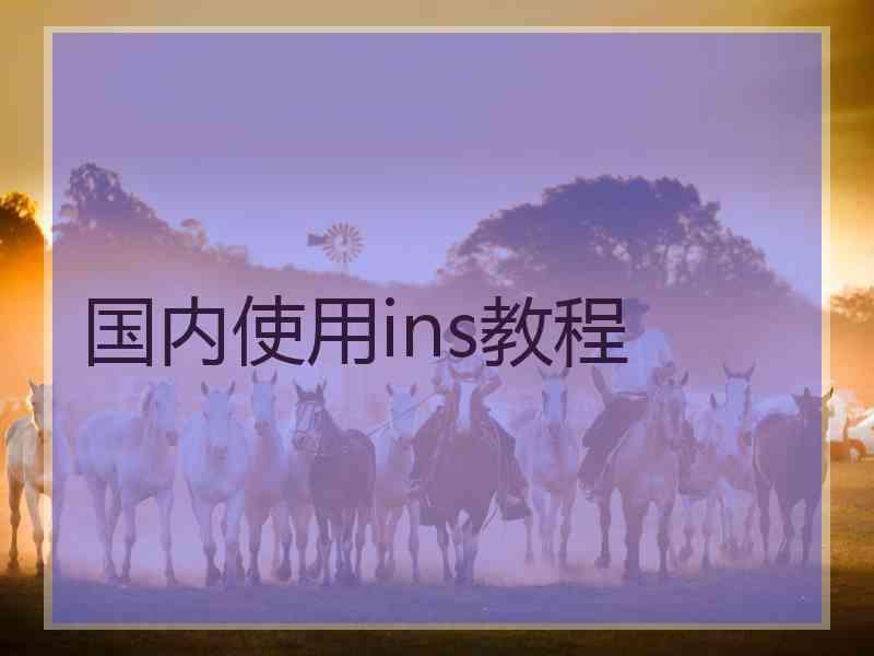 国内使用ins教程