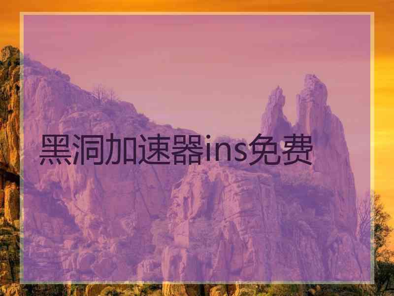 黑洞加速器ins免费