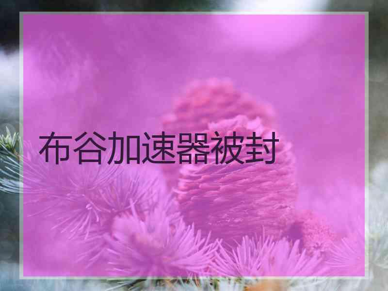 布谷加速器被封