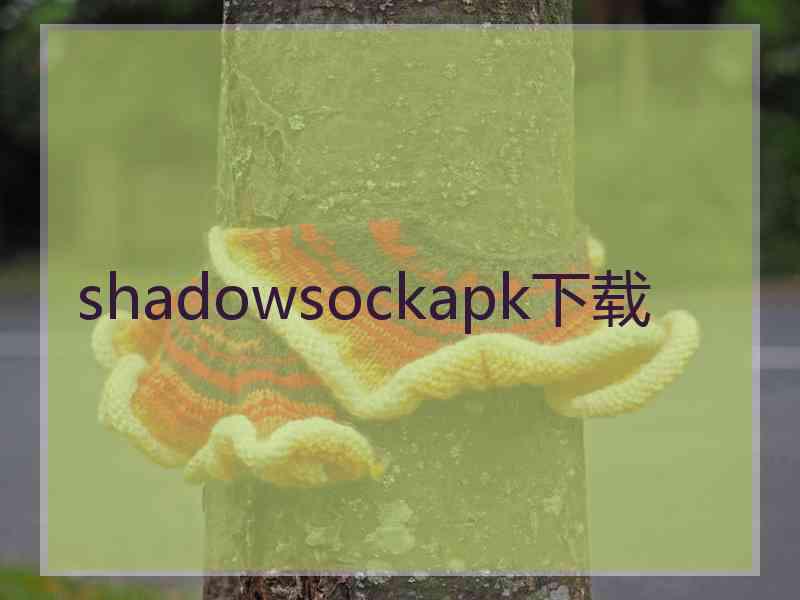 shadowsockapk下载