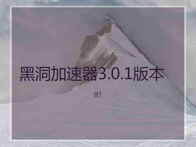 黑洞加速器3.0.1版本