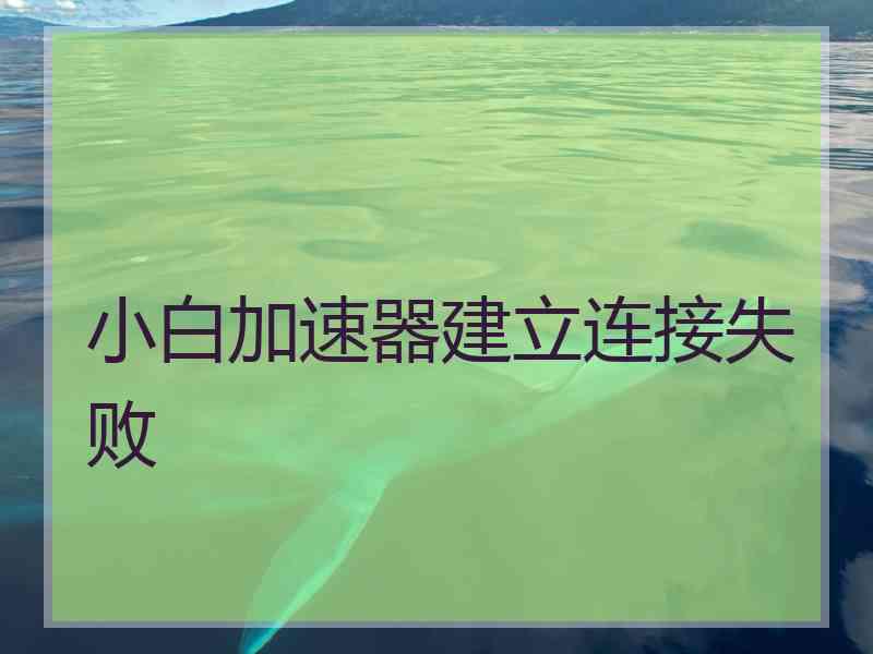 小白加速器建立连接失败