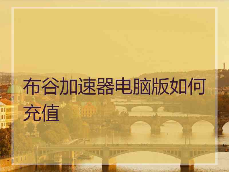 布谷加速器电脑版如何充值
