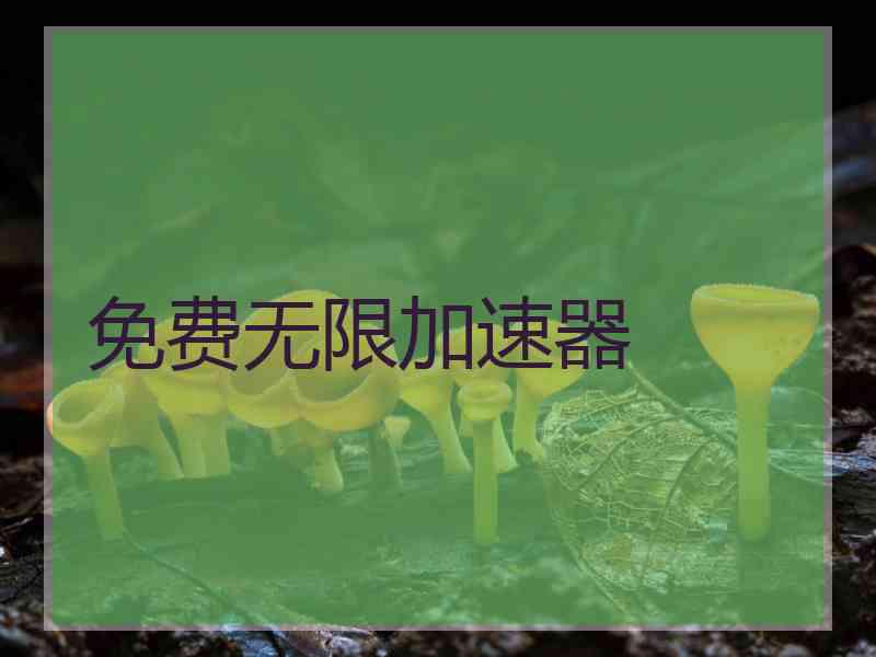 免费无限加速器