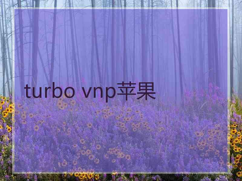 turbo vnp苹果