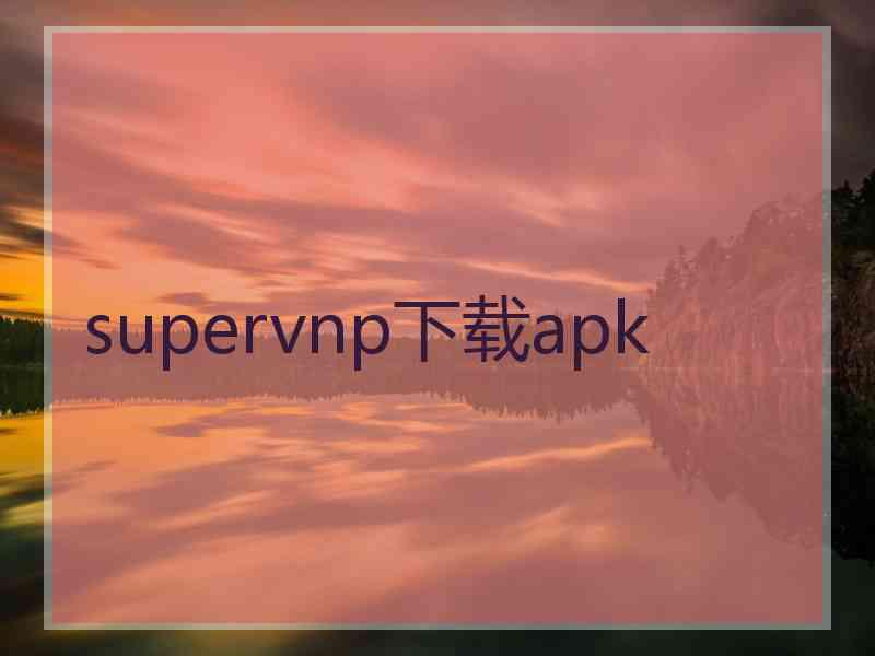 supervnp下载apk