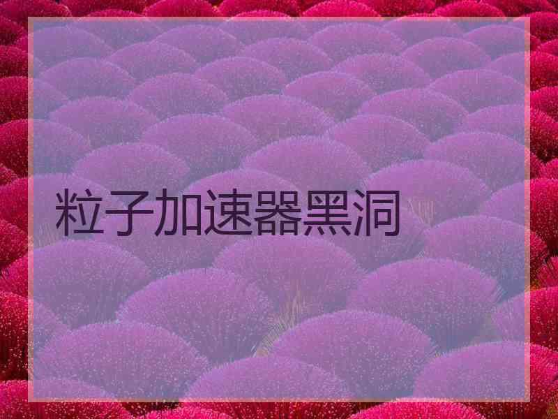 粒子加速器黑洞