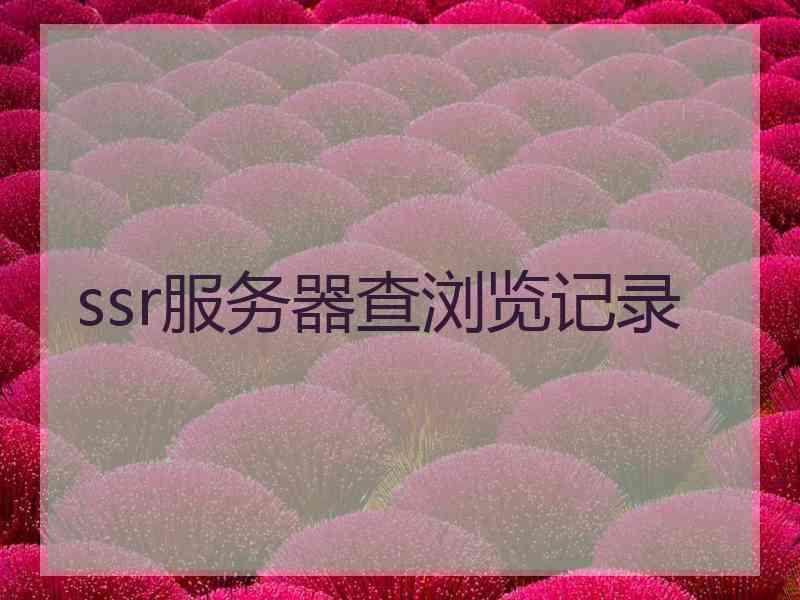 ssr服务器查浏览记录