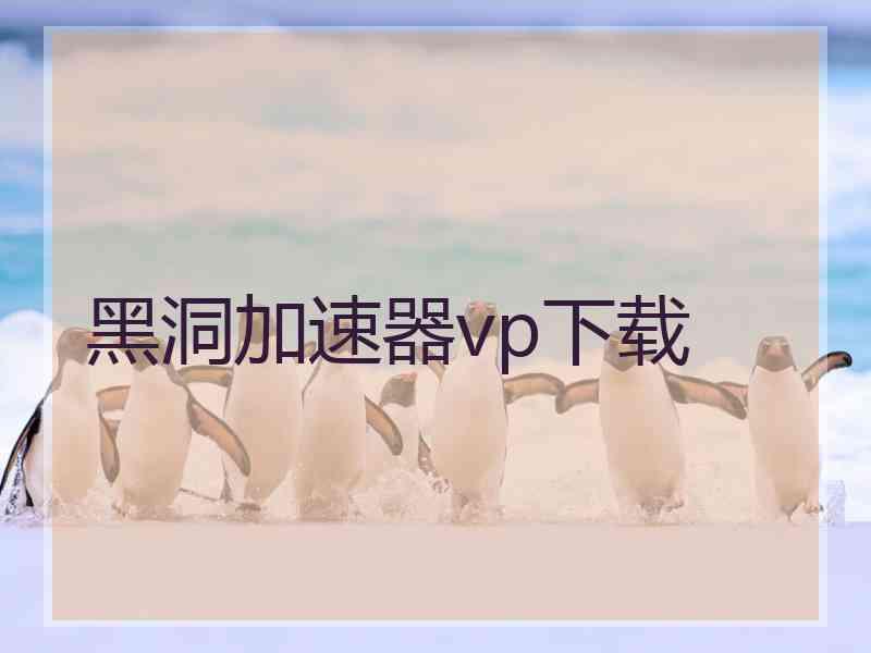 黑洞加速器vp下载