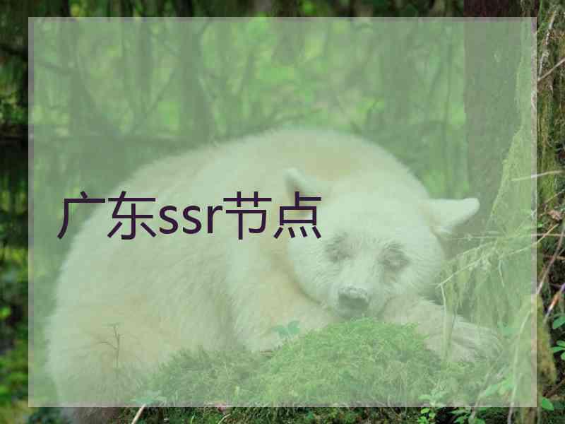 广东ssr节点