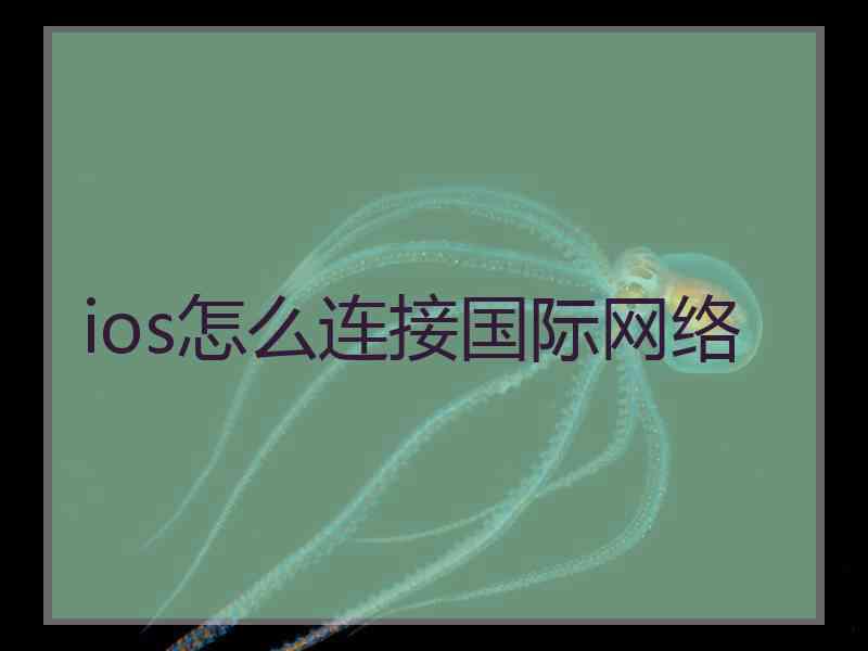 ios怎么连接国际网络