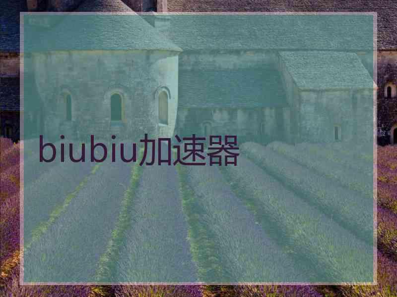 biubiu加速器