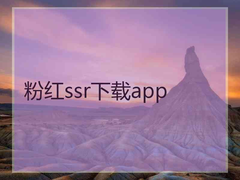 粉红ssr下载app