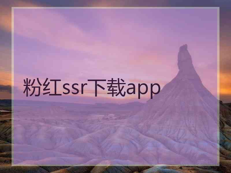 粉红ssr下载app