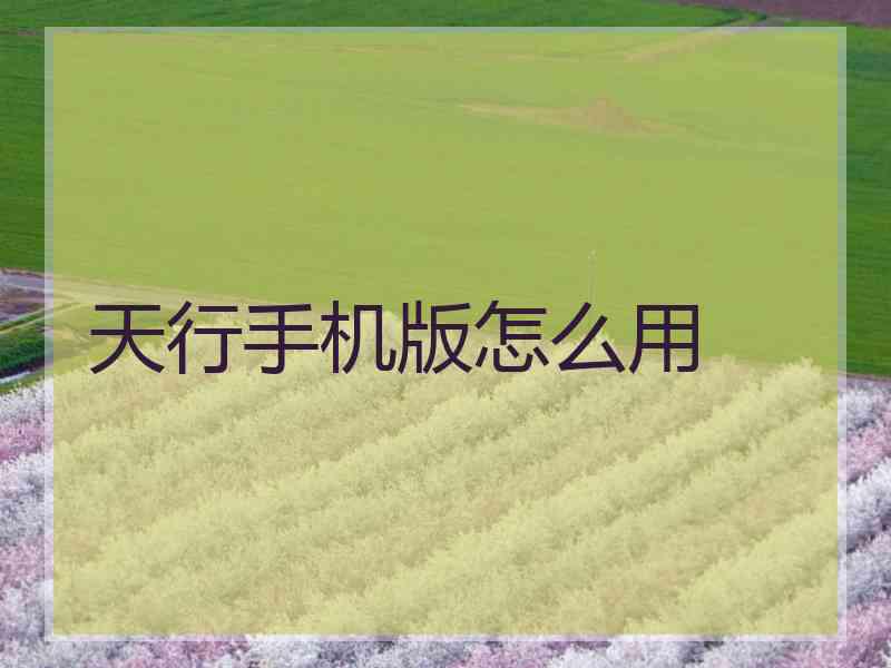 天行手机版怎么用
