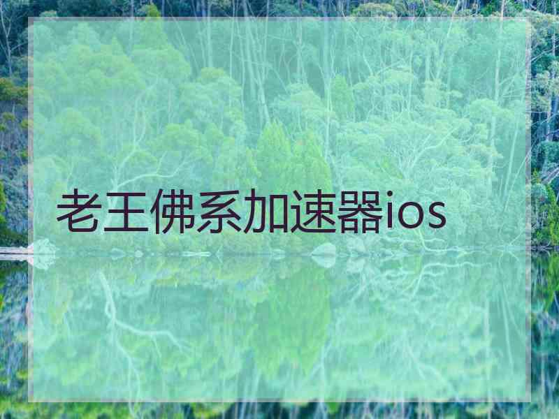 老王佛系加速器ios