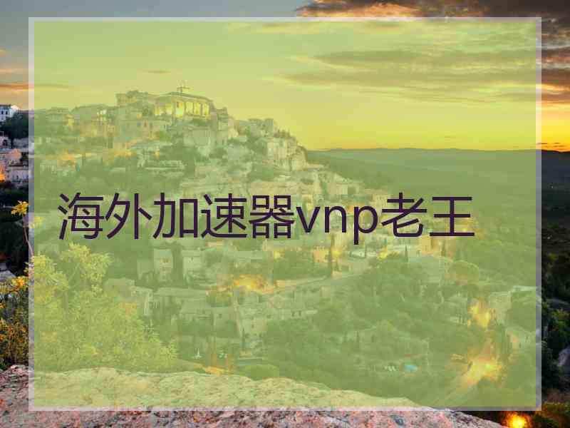 海外加速器vnp老王