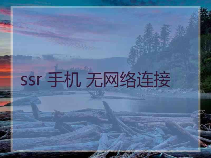ssr 手机 无网络连接