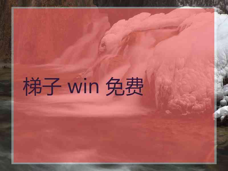 梯子 win 免费