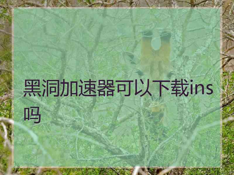 黑洞加速器可以下载ins吗