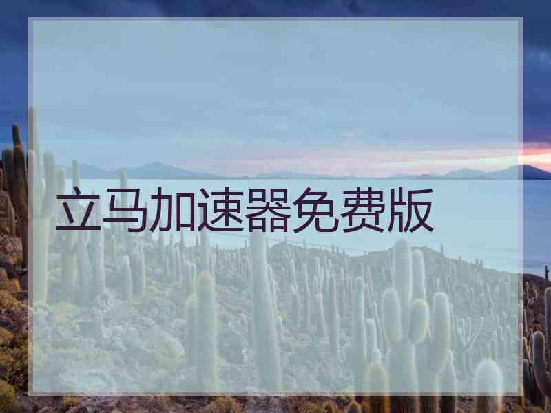 立马加速器免费版
