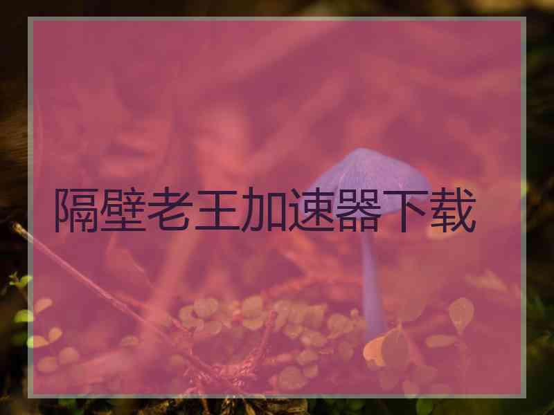 隔壁老王加速器下载