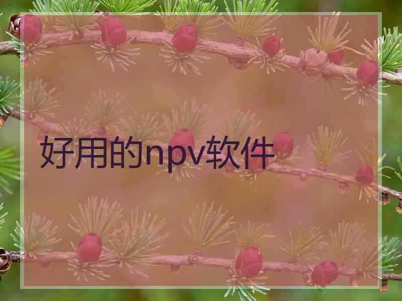 好用的npv软件