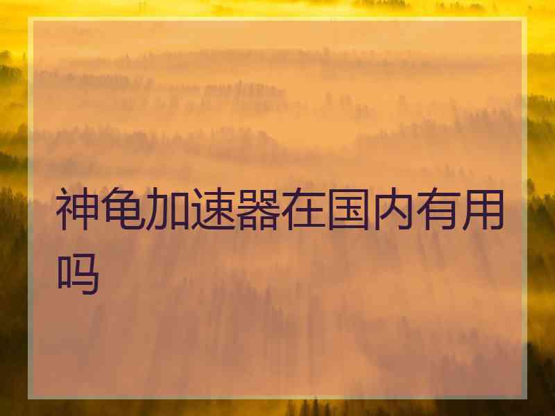 神龟加速器在国内有用吗